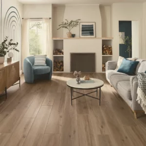 Luxury Vinyl Living Room Flooring | Nampa Floors & Interiors