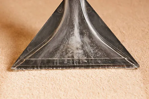 imgi_12_Are-rug-care-img